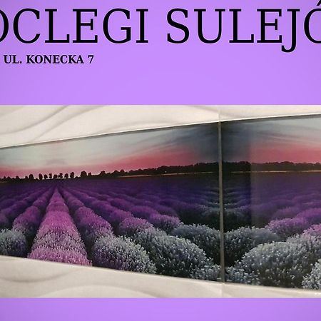 Noclegi Sulejów Εξωτερικό φωτογραφία