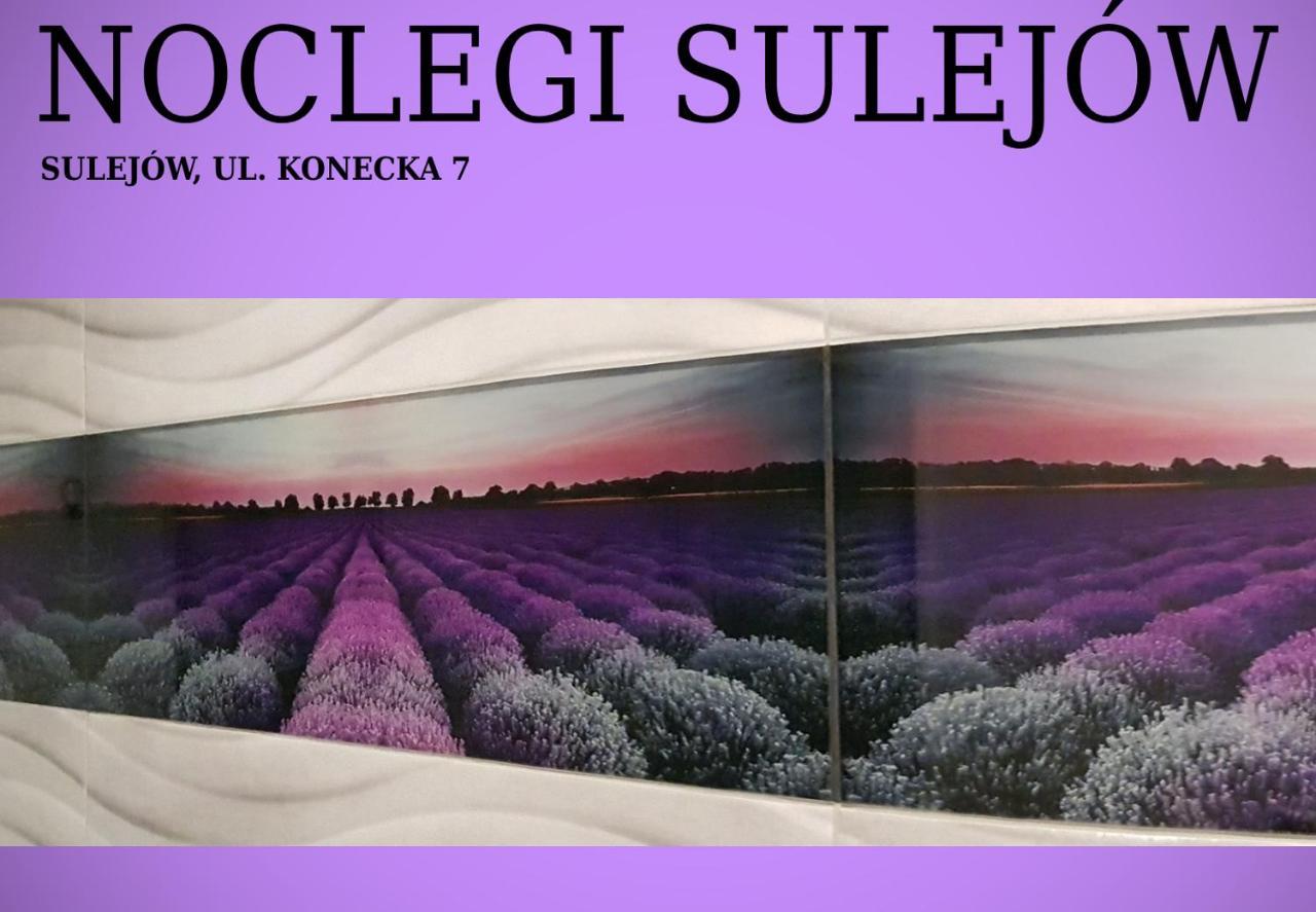 Noclegi Sulejów Εξωτερικό φωτογραφία